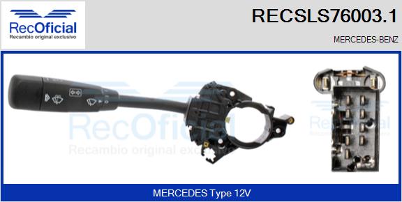 RECSLS76003.1