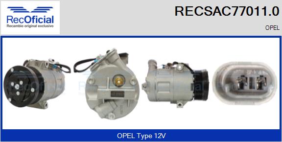 RECSAC77011.0