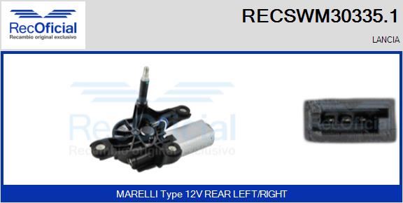 RECSWM30335.1