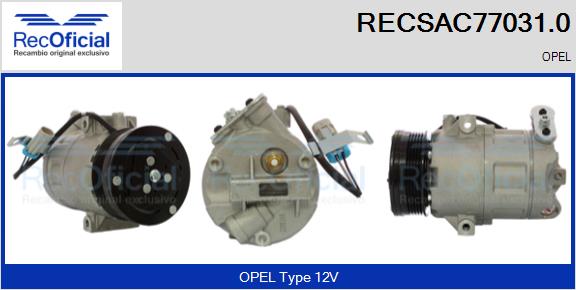 RECSAC77031.0