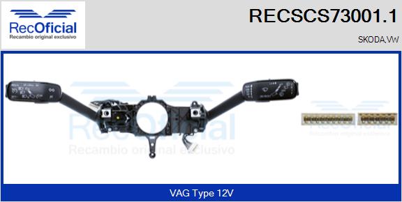 RECSCS73001.1