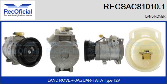 RECSAC81010.1