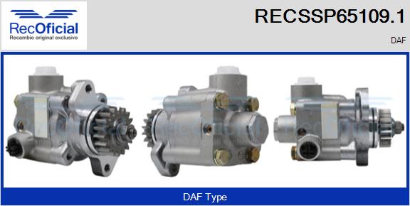 RECSSP65109.1