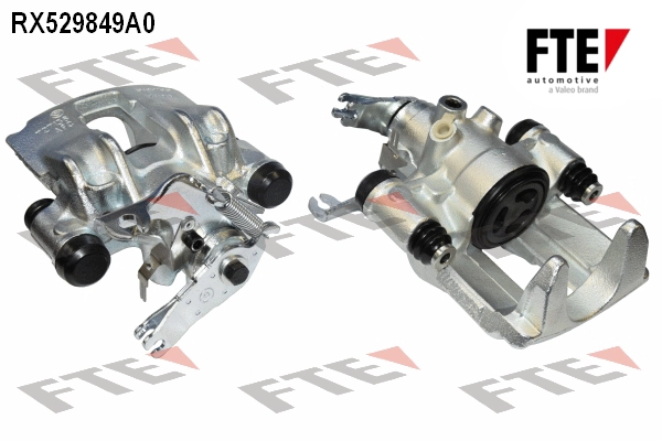 RX529849A0