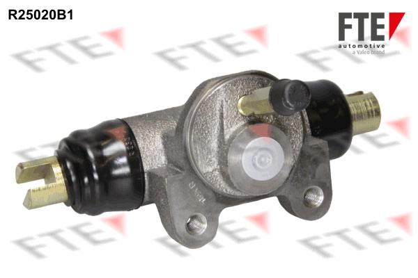 R25020B1