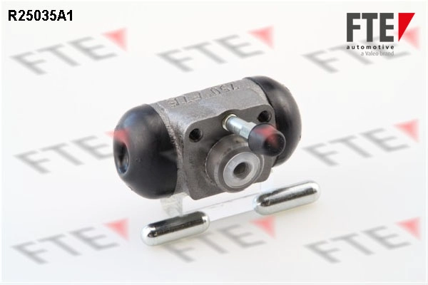 R25035A1
