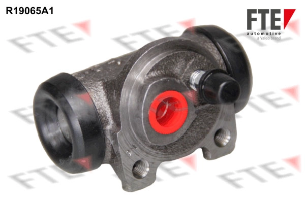 R19065A1