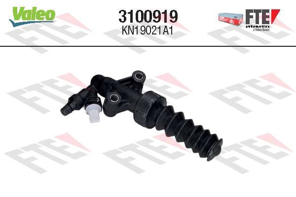 3100919