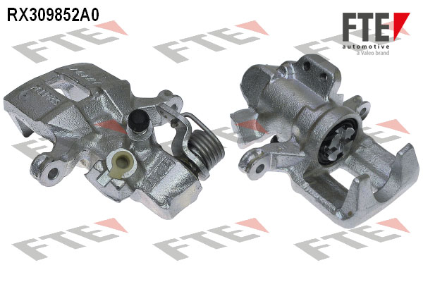 RX309852A0