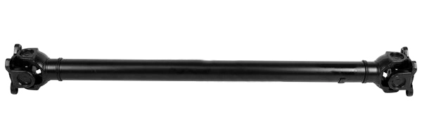 BM3004