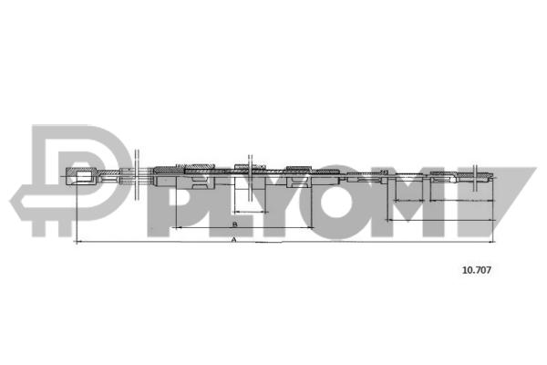 P763005