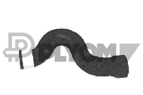 P486081