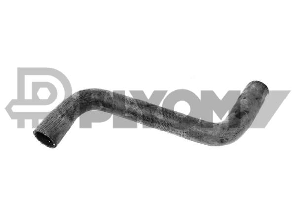 P765091