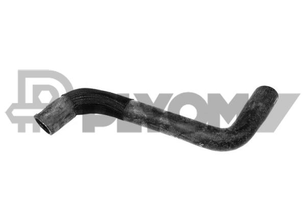 P753988