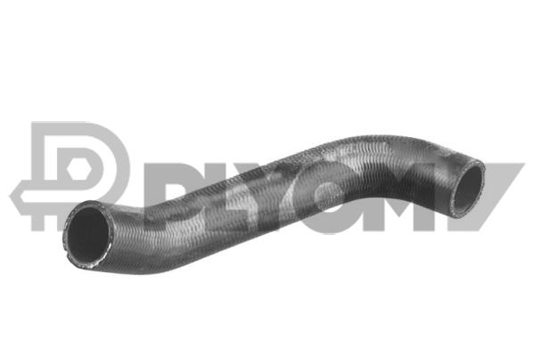 P466029