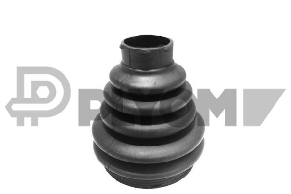 P030060