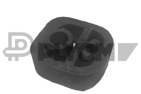 P030296