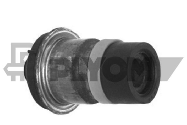 P021334