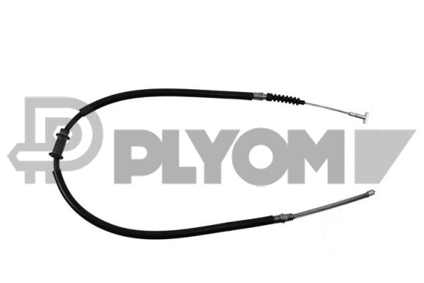 P018966