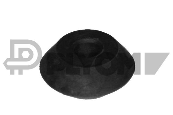 P010061