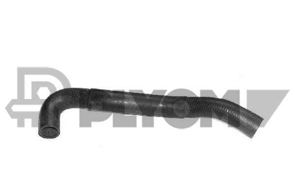 P752851