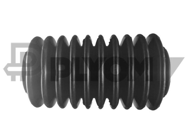 P030125
