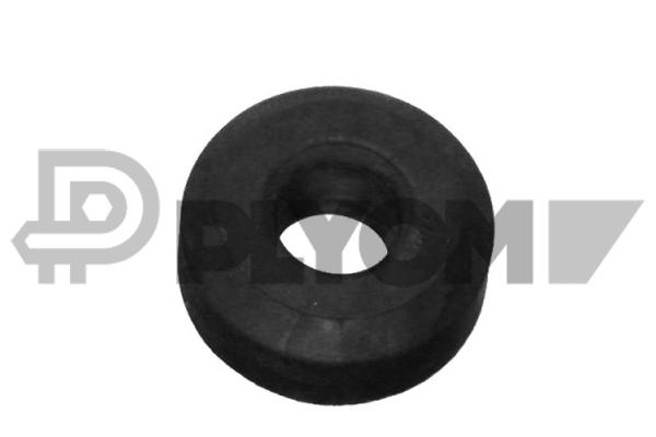 P010568