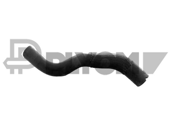 P770496