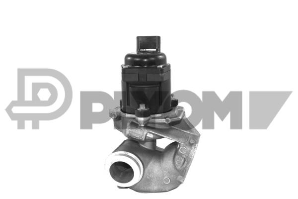 P960001