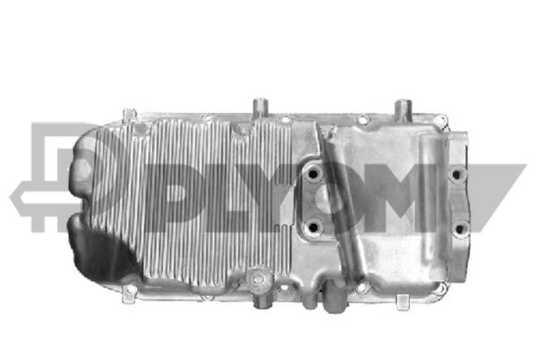 P011210