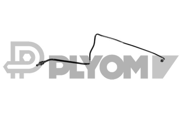 P775584