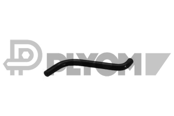 P216005