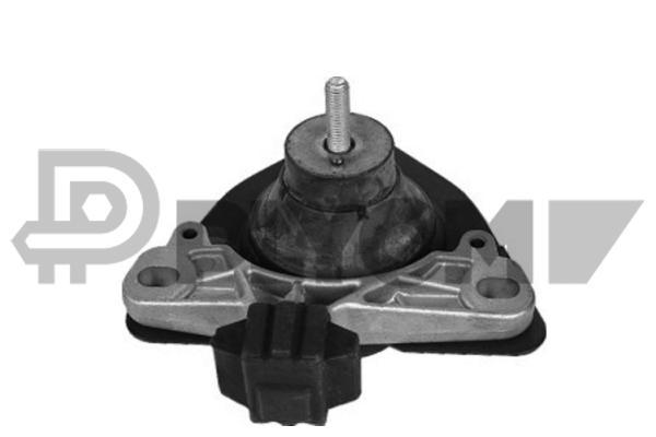 P020065