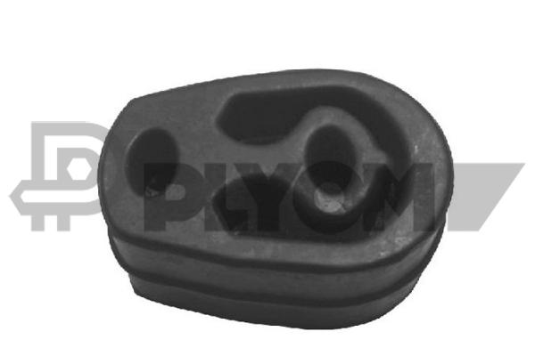 P080064