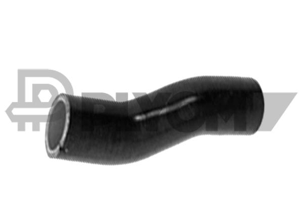 P769804