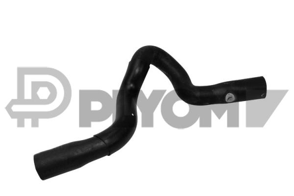 P765184