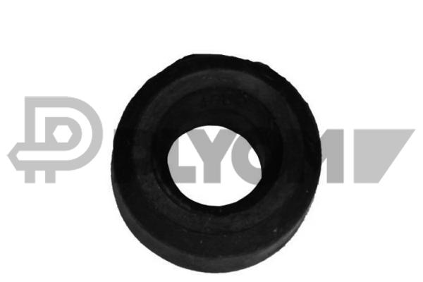 P010169