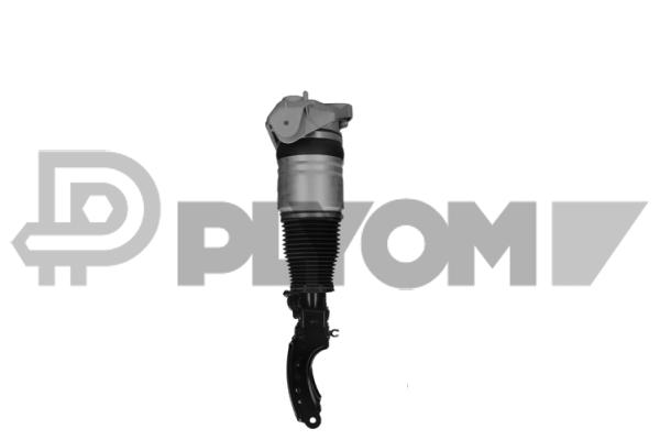 P752019