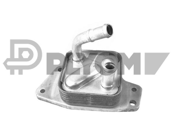 P751813
