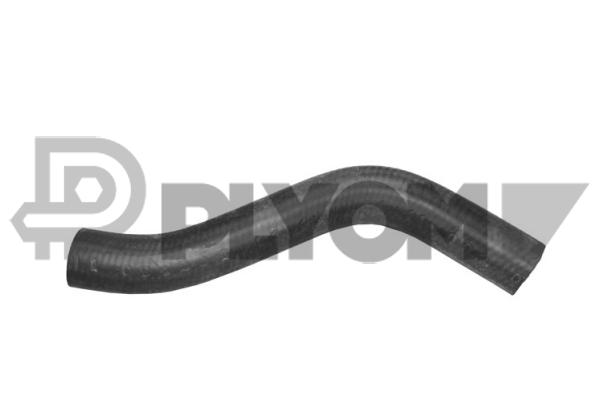 P486021