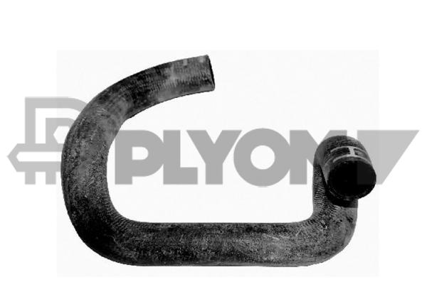 P753504