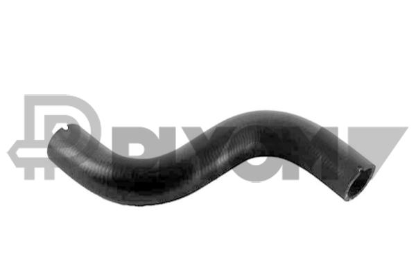 P754319