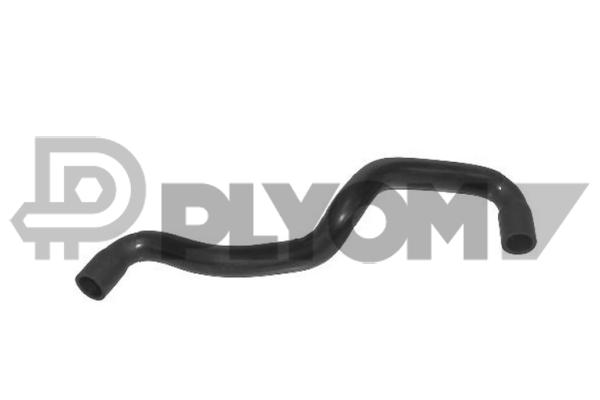 P031077