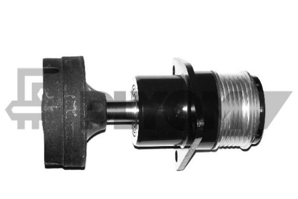 P081124
