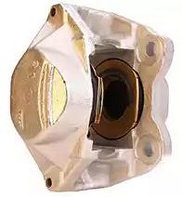 C584R
