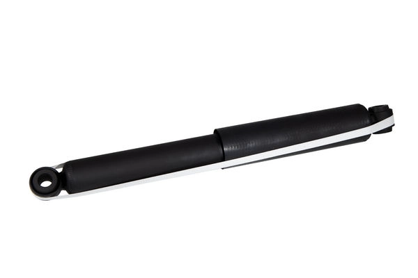 Z01219