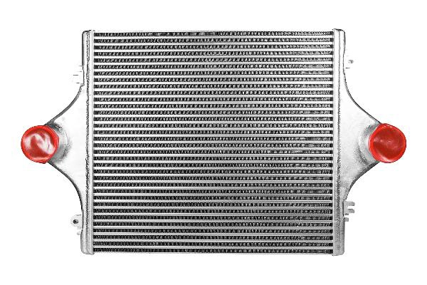 Z12517