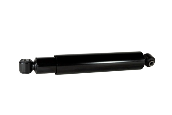 Z01061