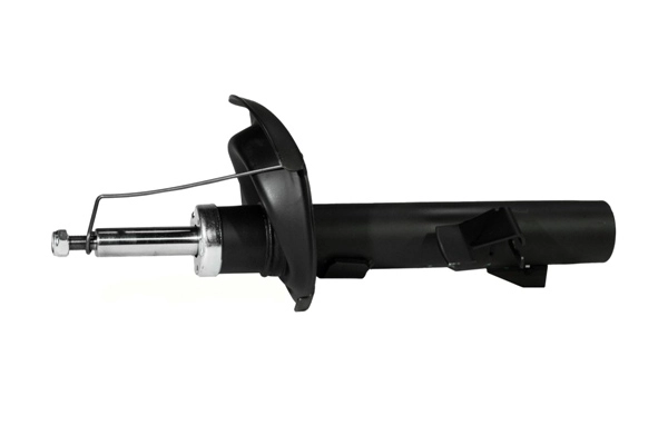 Z00265