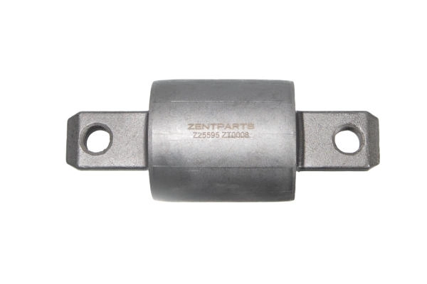 Z25595